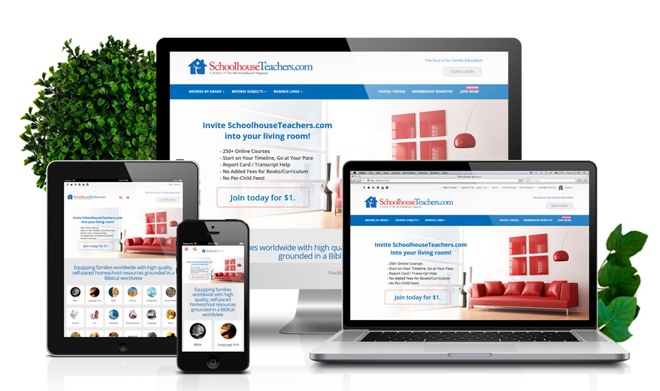 Responsive Website Design Services